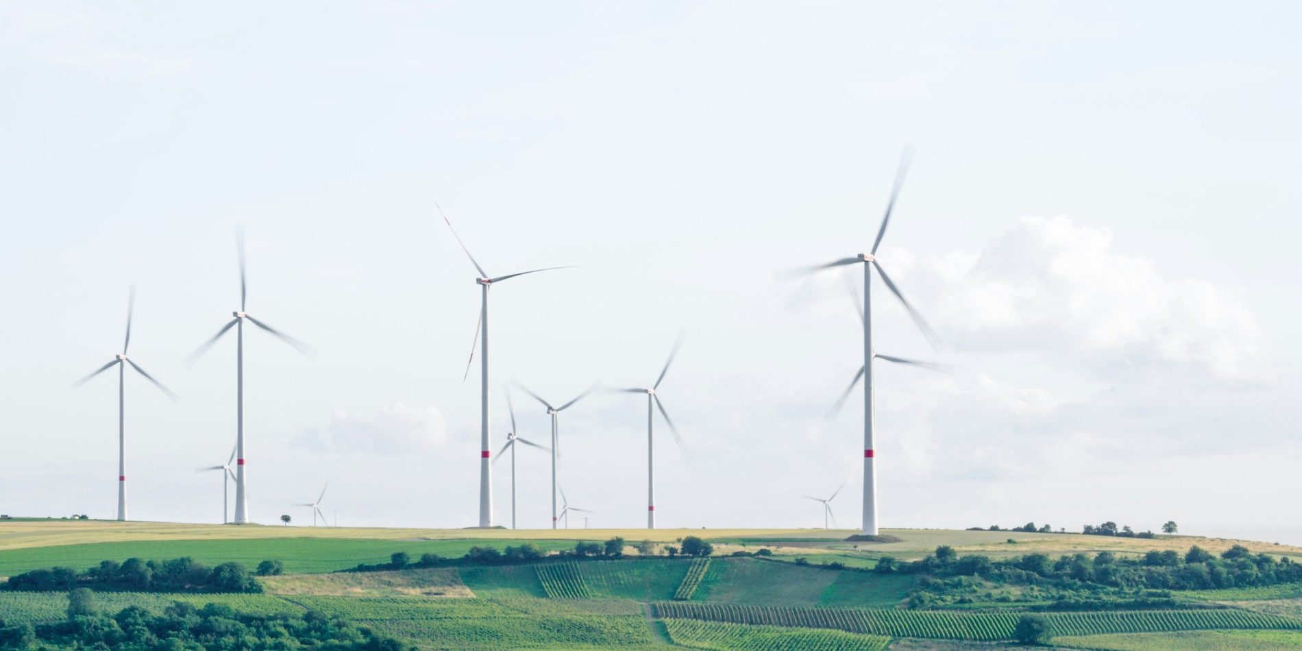 Multiple wind turbines in a flat grassy field