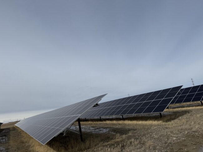 solar panels in a field